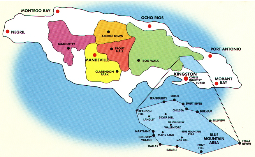 coffeenate.commap of jamaican blue mountain coffeenate.commap of jamaican blue mountain
